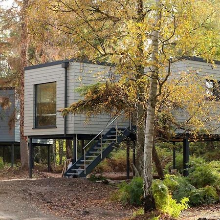 Tierpark Entdeckerhaeuser Wagenfeld Eksteriør bilde