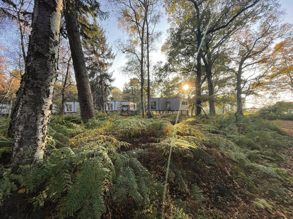 Tierpark Entdeckerhaeuser Wagenfeld Eksteriør bilde