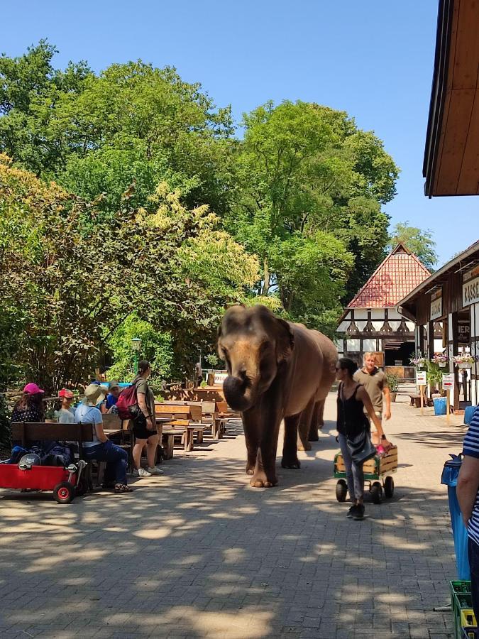 Tierpark Entdeckerhaeuser Wagenfeld Eksteriør bilde