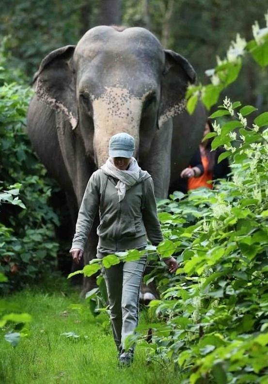Tierpark Entdeckerhaeuser Wagenfeld Eksteriør bilde