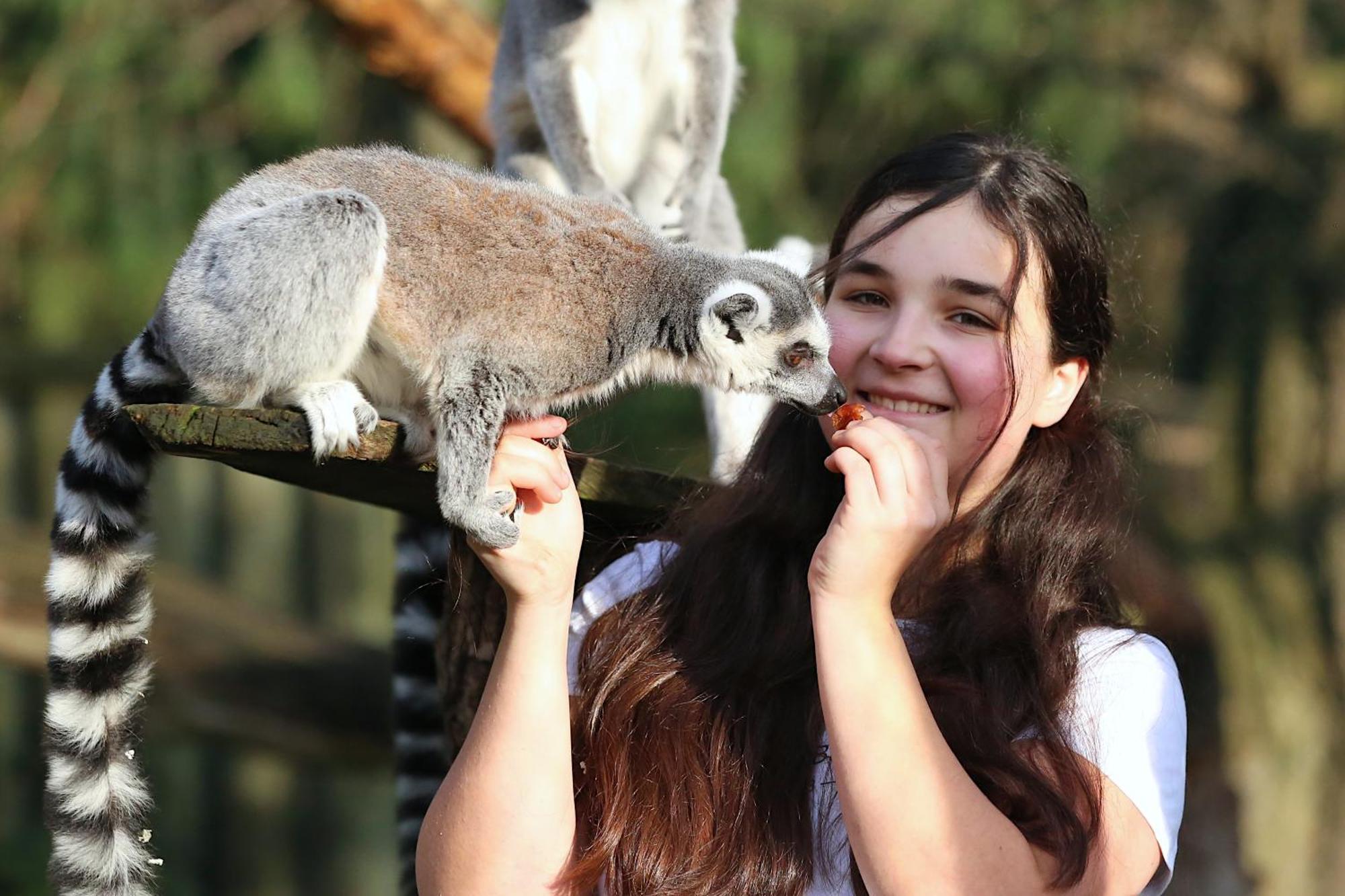 Tierpark Entdeckerhaeuser Wagenfeld Eksteriør bilde